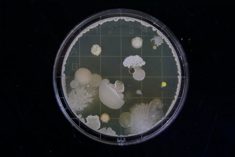 How to Prevent the Spread of Bacteria in the Workplace? - Online Training Academy prevent bacteria